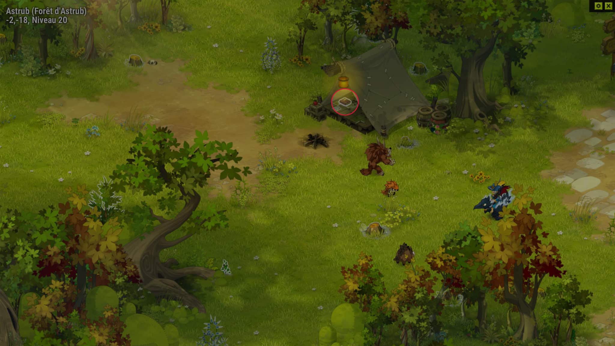Dofus Sadida forest